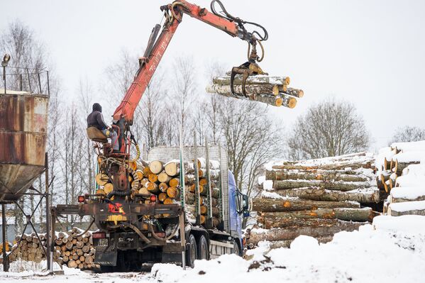 Одна из немногих отраслей для работы в Латгалии - деревообработка - Sputnik Латвия
