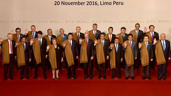 Лидеры стран АТЭС сфотографировались в перуанских накидках. Кадры церемонии - Sputnik Латвия