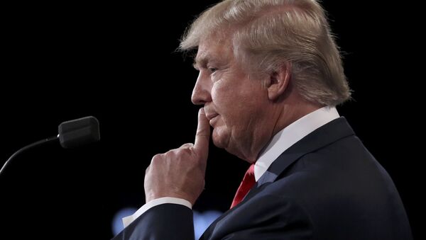 ASV prezidents Donalds Tramps. Foto no arhīva - Sputnik Latvija