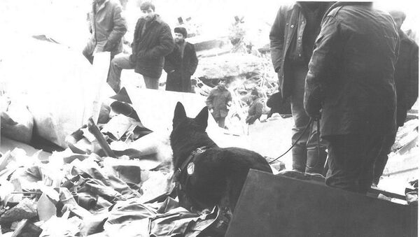 Город Спитак после землетрясения в 1988 году - Sputnik Латвия