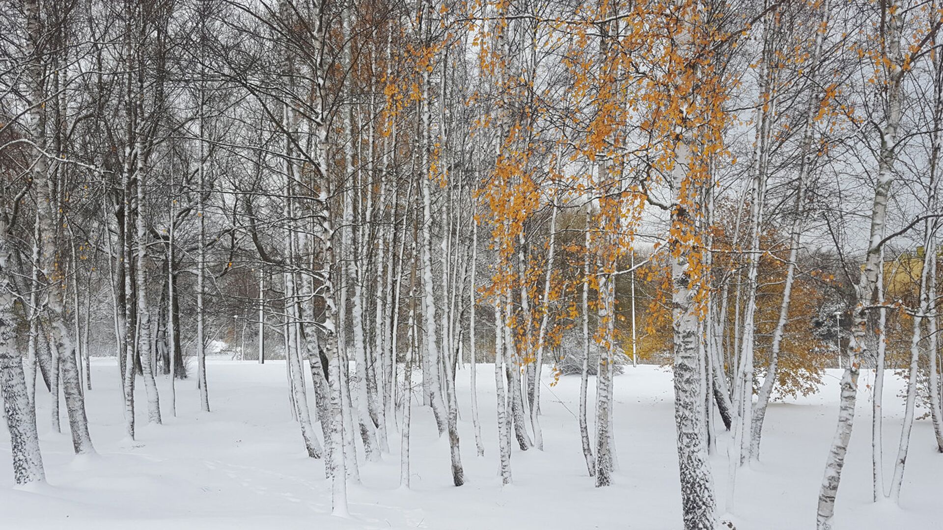 Снег в Лиепае - Sputnik Латвия, 1920, 04.02.2022