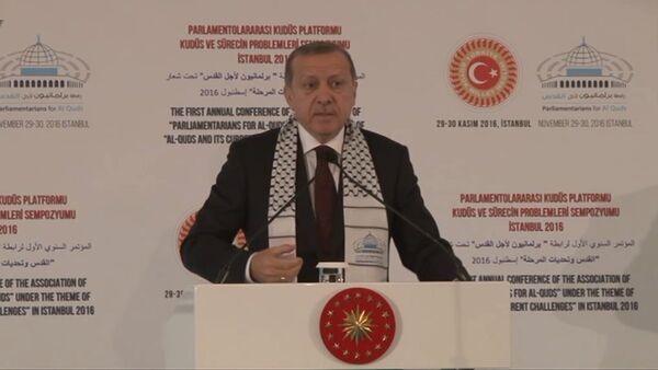 Эрдоган назвал свержение Асада целью военной операции Турции в Сирии - Sputnik Латвия
