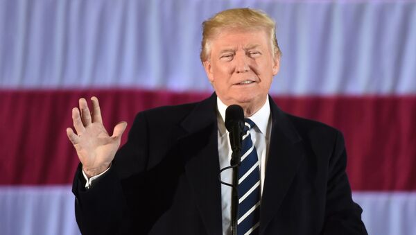 Новоизбранный президент Америки Дональд Трамп - Sputnik Latvija