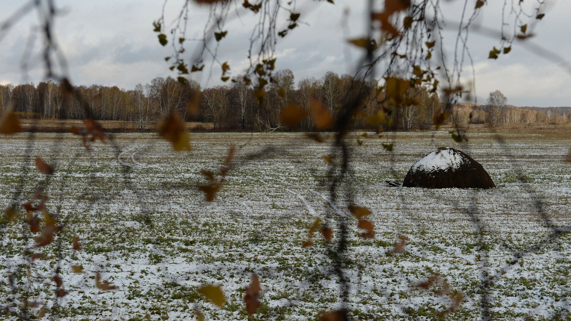 Мокрый снег. Осень - Sputnik Латвия, 1920, 27.04.2022