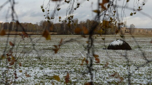 Мокрый снег. Осень - Sputnik Latvija