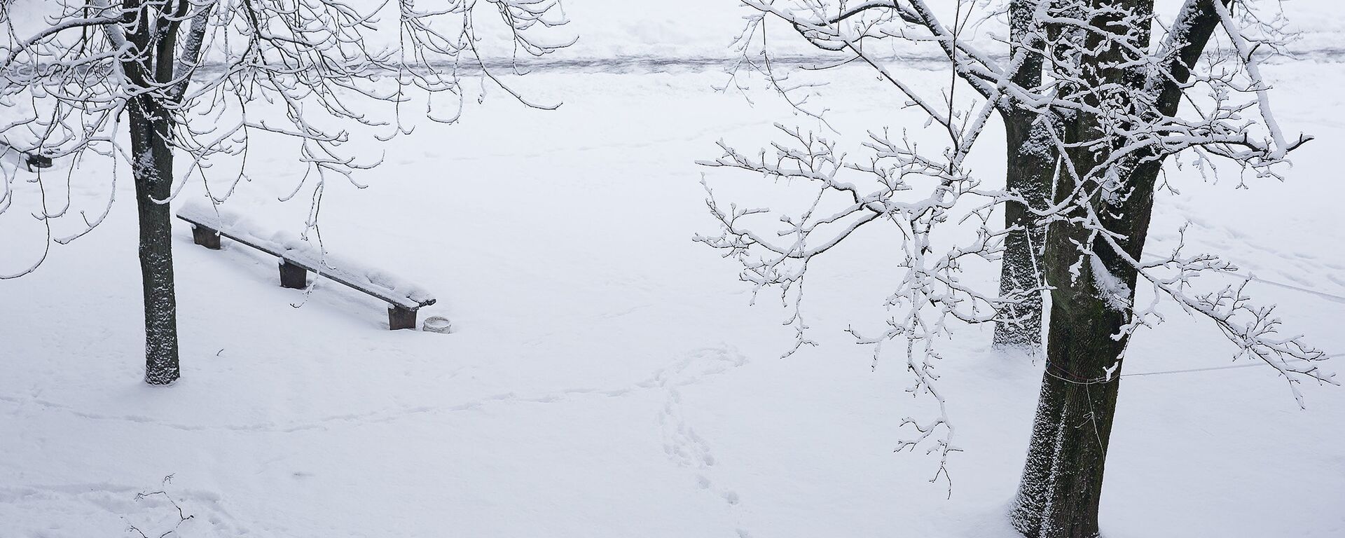 Снег в Риге - Sputnik Латвия, 1920, 10.11.2021