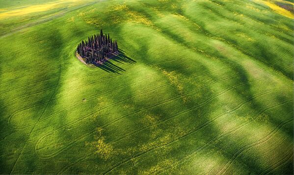 Итоги конкурса работ SkyPixel Итоги конкурса работ SkyPixel - Sputnik Латвия