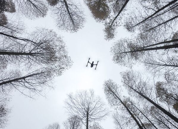 Итоги конкурса работ SkyPixel Итоги конкурса работ SkyPixel - Sputnik Латвия