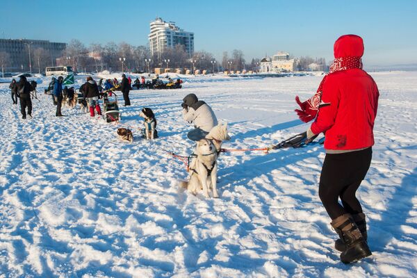 Экспедиция на собачьих упряжках Великая Андома. Тайна трех океанов в Карелии Экспедиция на собачьих упряжках Великая Андома. Тайна трех океанов в Карелии - Sputnik Латвия