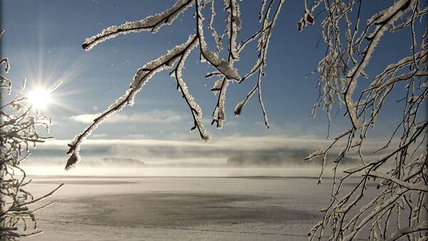 Зимний пейзаж с солнцем - Sputnik Латвия