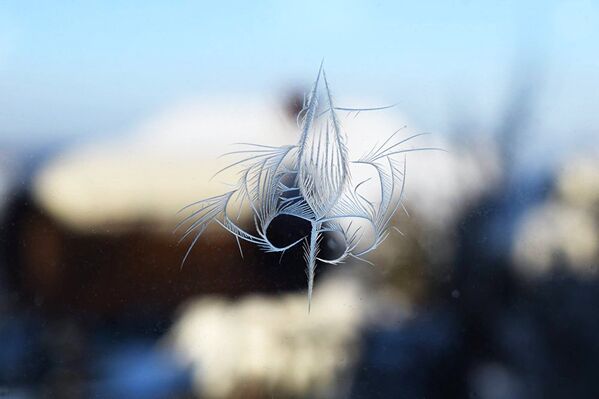 Снежинка на стекле - Sputnik Латвия