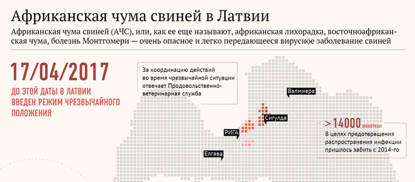 Африканская чума свиней в Латвии Африканская чума свиней в Латвии - Sputnik Латвия