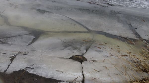 Лед на озере - Sputnik Latvija