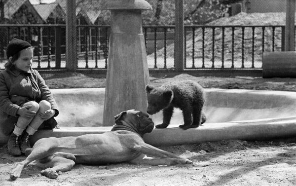 Московский зоопарк, 1944 год Московский зоопарк, 1944 год - Sputnik Латвия