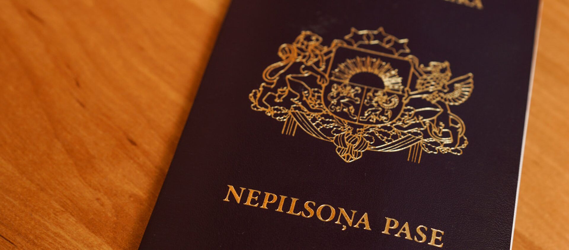 Паспорт негражданина Латвии - Sputnik Латвия, 1920, 01.02.2021