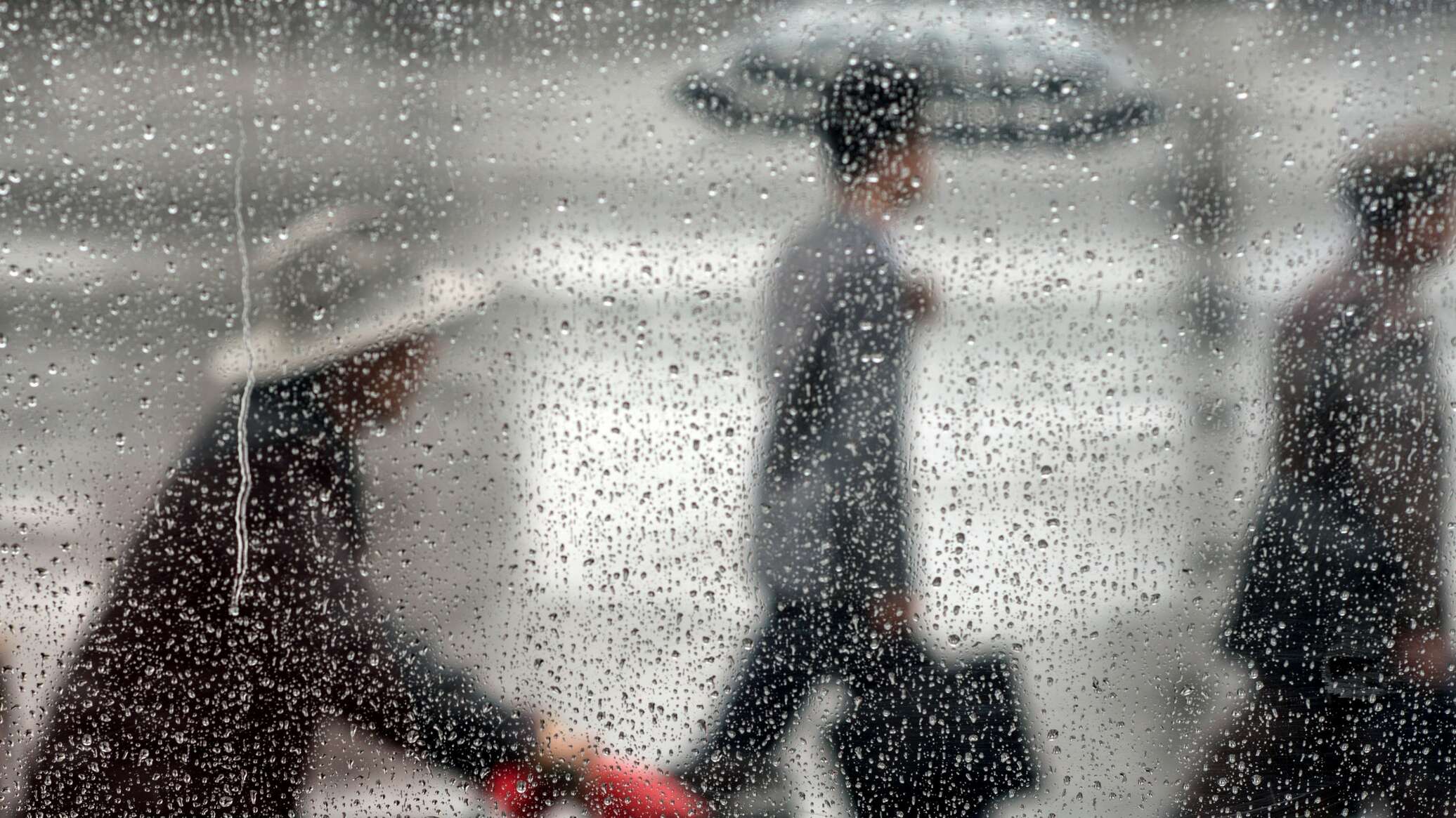 одежда синоптик. рига латвия центр города осень. длительные дожди фото. латвия погода. синоптики латвии.