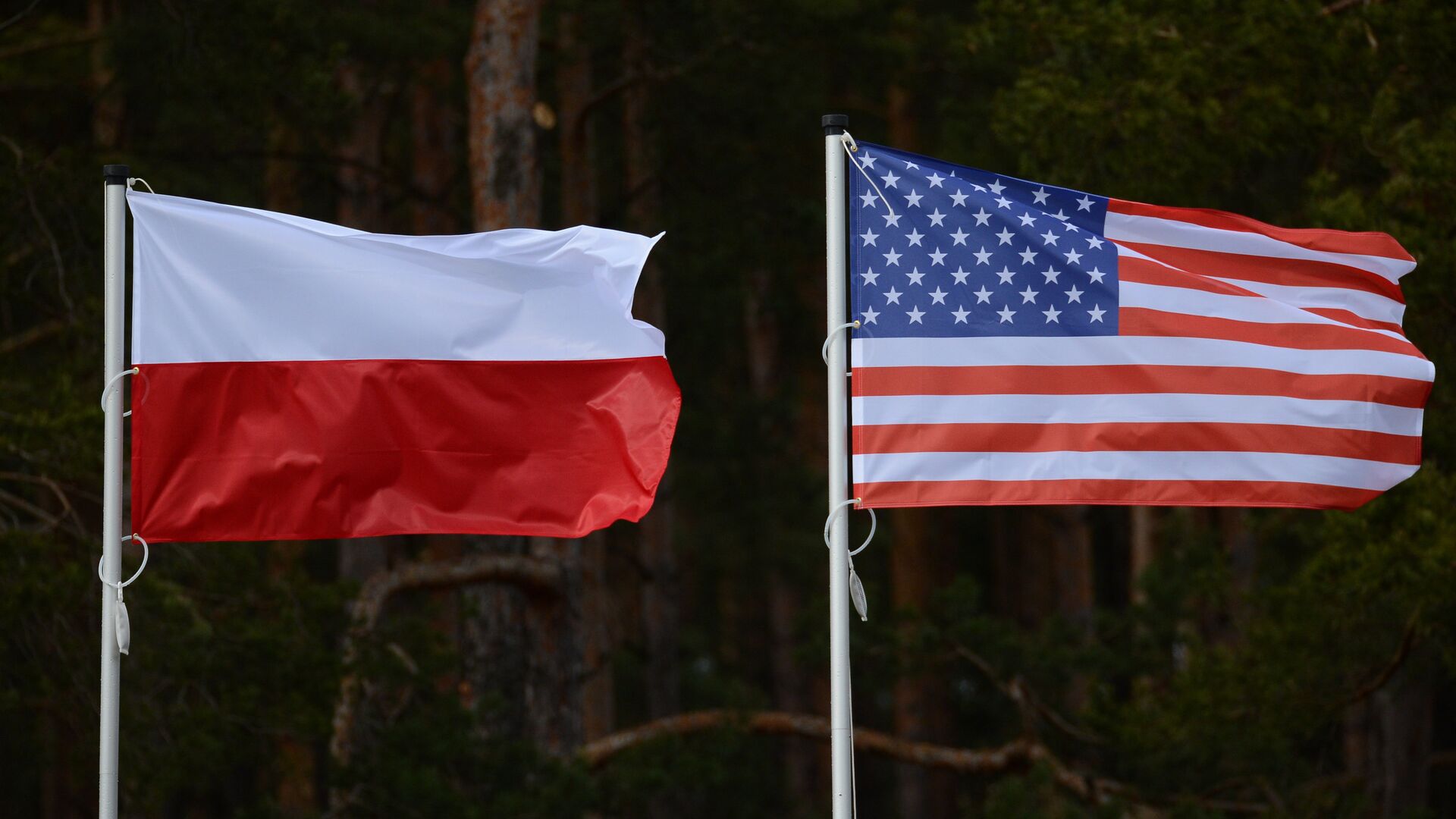 Флаги США и Польши - Sputnik Latvija, 1920, 02.08.2021
