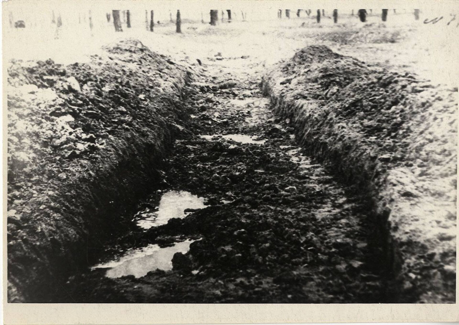 Архивные фотографии лагеря военнопленных в Саласпилсе - Sputnik Латвия, 1920, 17.05.2022