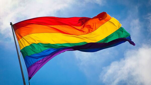 LGBT karogs. Foto no arhīva - Sputnik Latvija