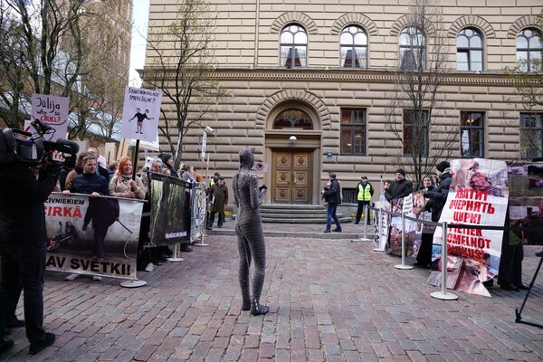 Пикеты против использования животных в цирке (слева) и за традицонный цирк (справа) Пикеты против использования животных в цирке (слева) и за традицонный цирк (справа) - Sputnik Латвия