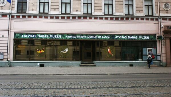 Латвийский музей природы - Sputnik Латвия