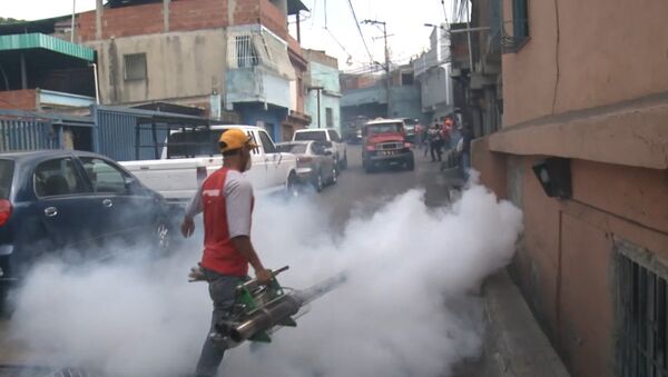 Окуривание дымом домов в Каракасе из-за вируса Зика и комментарий эксперта ВОЗ - Sputnik Латвия