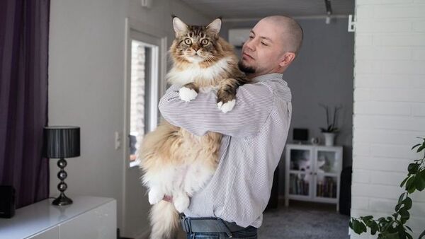 Ян-Эрик Бруун с котом Пиккис - Sputnik Латвия