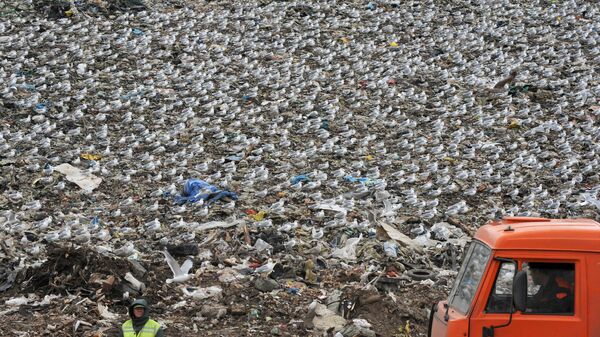 Atkritumu izgāztuve. Foto no arhīva - Sputnik Latvija