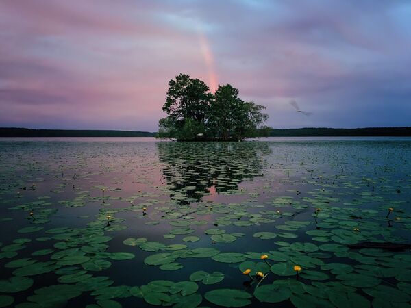 Победители конкурса iPhone Photography Awards-2017 Победители конкурса iPhone Photography Awards-2017 - Sputnik Латвия