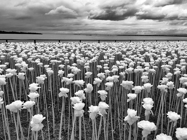 Победители конкурса iPhone Photography Awards-2017 Победители конкурса iPhone Photography Awards-2017 - Sputnik Латвия