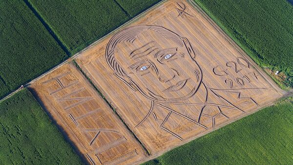Гигантский портрет президента РФ Владимира Путина на кукурузном поле, Италия - Sputnik Латвия