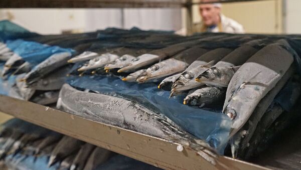 Завод по переработке рыбы - Sputnik Latvija