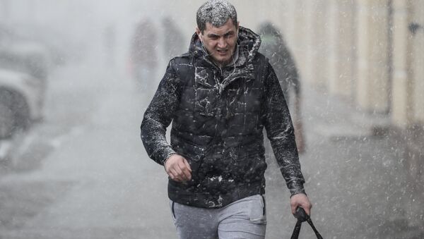 Прохожий на улице во время снегопада - Sputnik Latvija