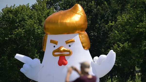 Гигантский надувной цыпленок с прической Трампа установлен у Белого дома - Sputnik Latvija