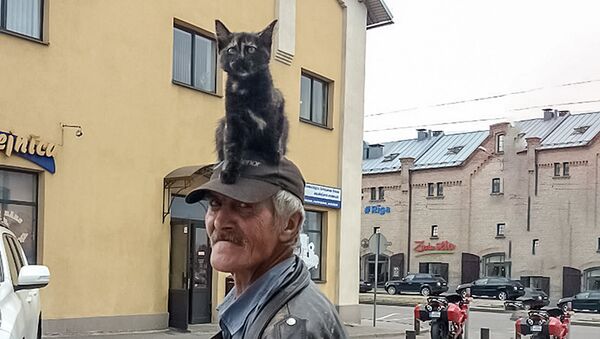 Мужчина с котом на голове - Sputnik Латвия