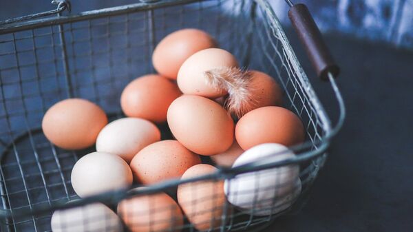 Куриные яйца в корзине - Sputnik Latvija