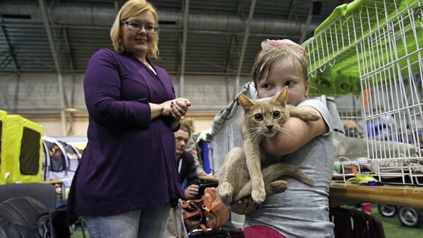 Маленькая посетительница выставки с котенком - Sputnik Латвия