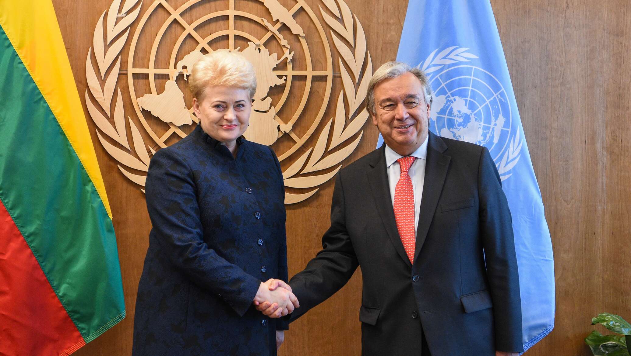 Даля грибаускайте ножки. Беларусь разрешит транзит украинского зерна - оон. Литва и оон. Литва оон. Президент литвы в оон.