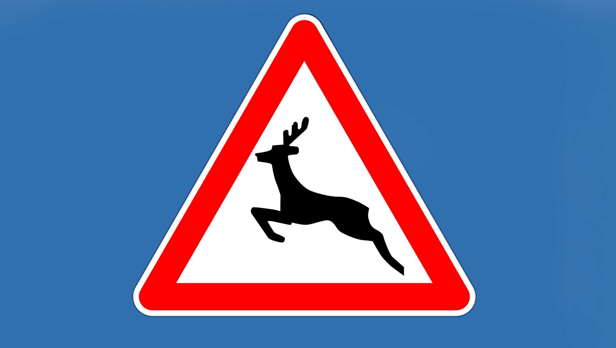 Дорожный знак олень. Знак Дикие животные. Знак осторожно олени. Дорожный знак осторожно Дикие животные.