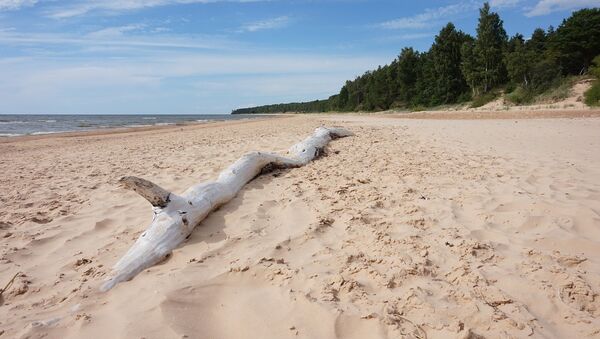 Пляж Балтийского моря в Латвии - Sputnik Latvija