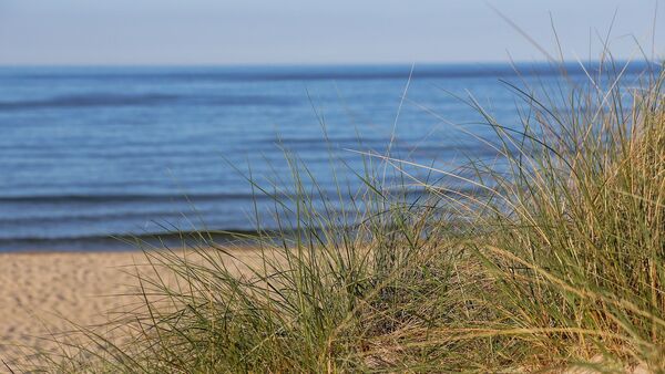 Пляж Балтийского моря - Sputnik Латвия