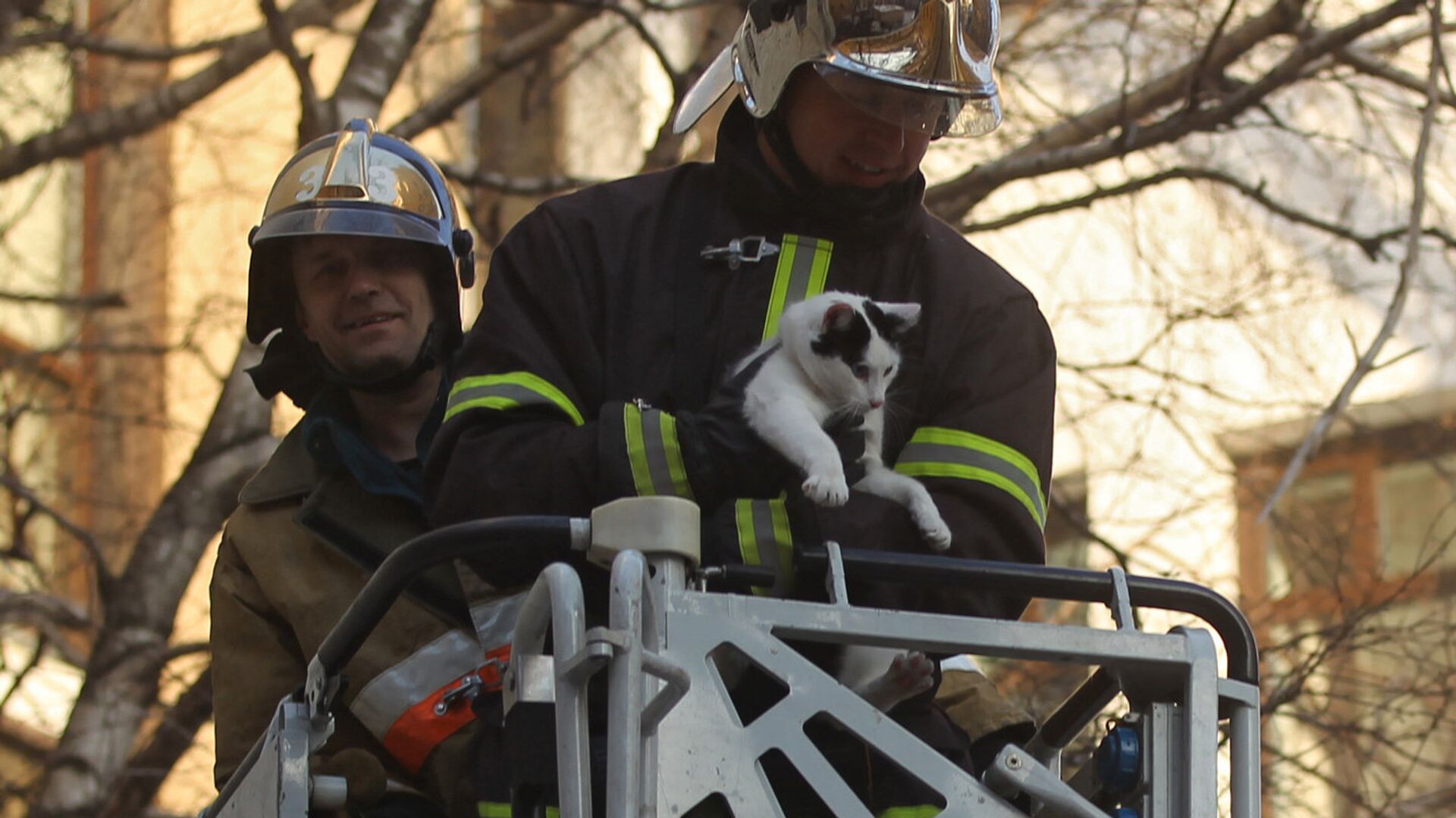 Сотрудники пожарной охраны спасают кошку - Sputnik Латвия, 1920, 02.02.2021