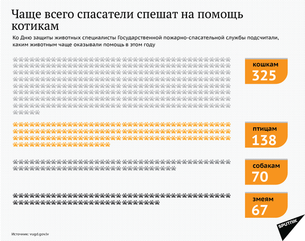 Чаще всего спасатели спешат на помощь котикам Чаще всего спасатели спешат на помощь котикам - Sputnik Латвия