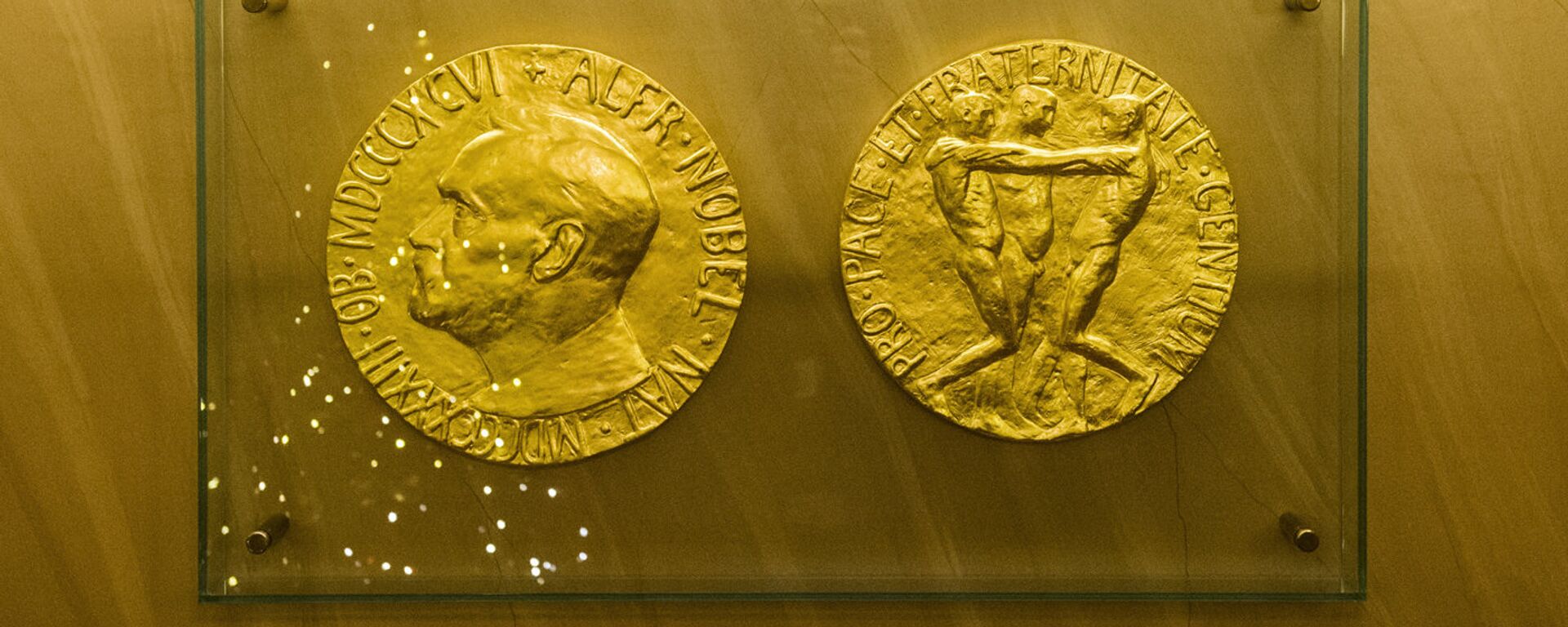 Две стороны нобелевской медали - Sputnik Латвия, 1920, 09.10.2019