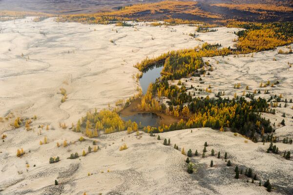 Вид на Чарские пески в Чарской долине Забайкальского края - Sputnik Латвия
