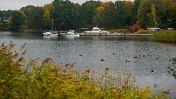 Киш-озеро в районе Межапарка - Sputnik Латвия