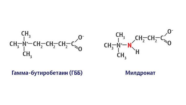 Отличие молекулы милдроната от гамма-бутиробетаина (ГББ) Отличие молекулы милдроната от гамма-бутиробетаина (ГББ) - Sputnik Латвия