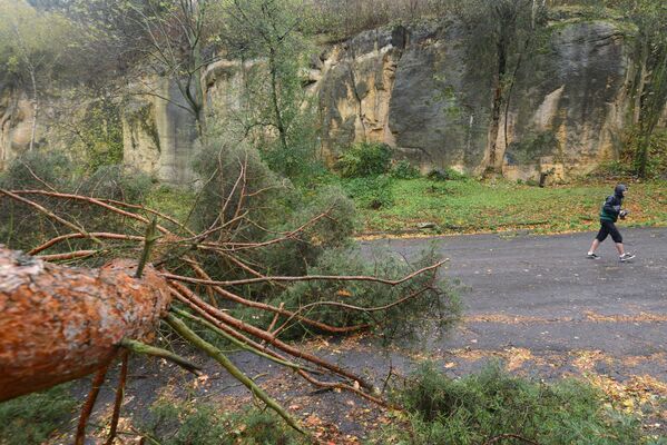 Прохожий идет мимо упавшего дерева в результате ураганного ветра в Праге, Чехия - Sputnik Латвия