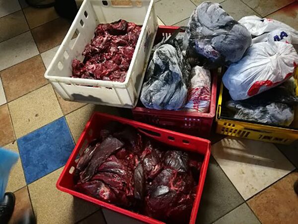 Нелегальные мясоперерабатывающие предприятия в Цесисе Нелегальные мясоперерабатывающие предприятия в Цесисе - Sputnik Латвия