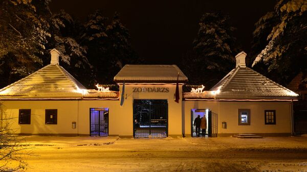 Рижский зоопарк приглашает на Зимние ночи - Sputnik Латвия